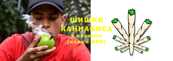 дурь Гусев