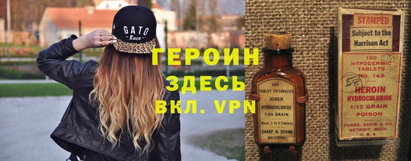 дурь Гусев