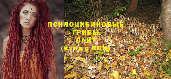 альфа пвп Гусь-Хрустальный