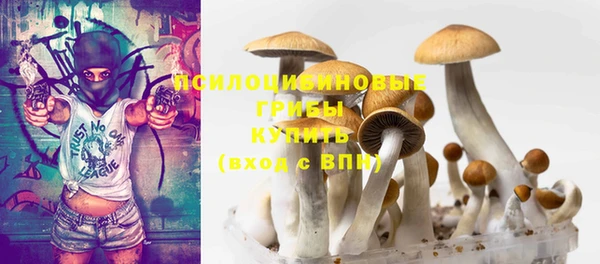 прущие крисы Дмитриев