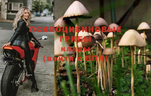 дурь Гусев